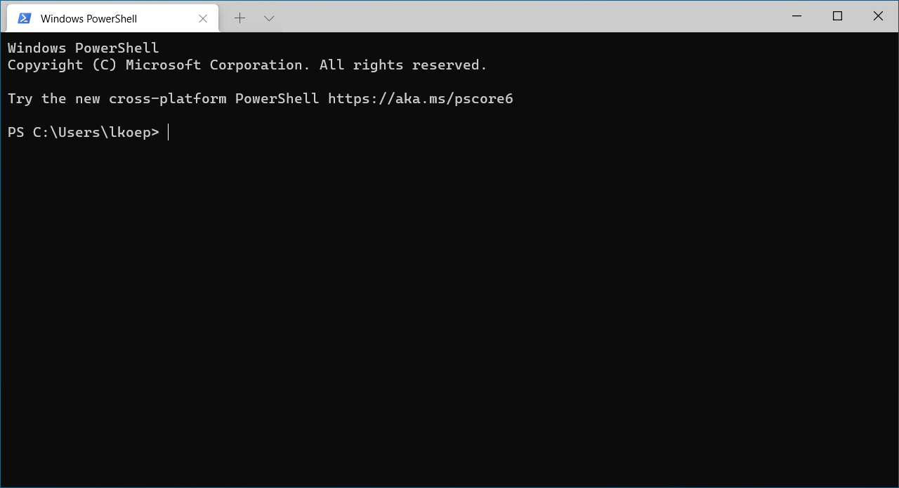 Terminal Opens in Windows Environment